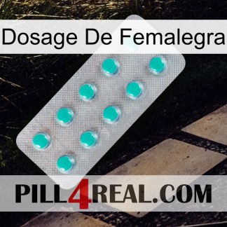 Femalegra Dosage 28